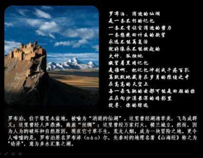 饥饿的哈利